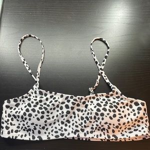 Dalmatian Swim Top